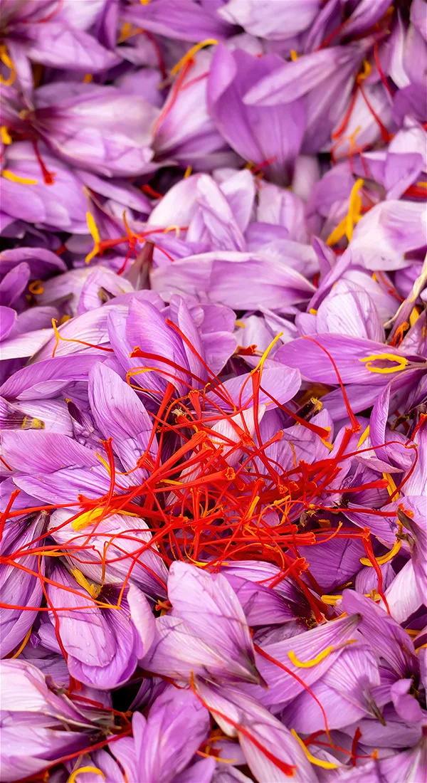 Azerbaijani saffron